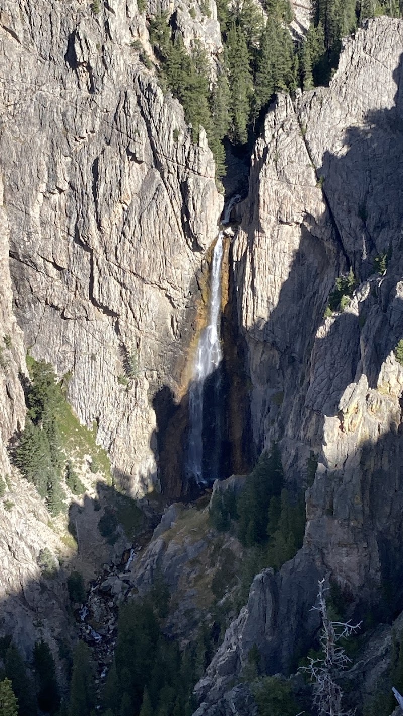 Bucking Mule Falls