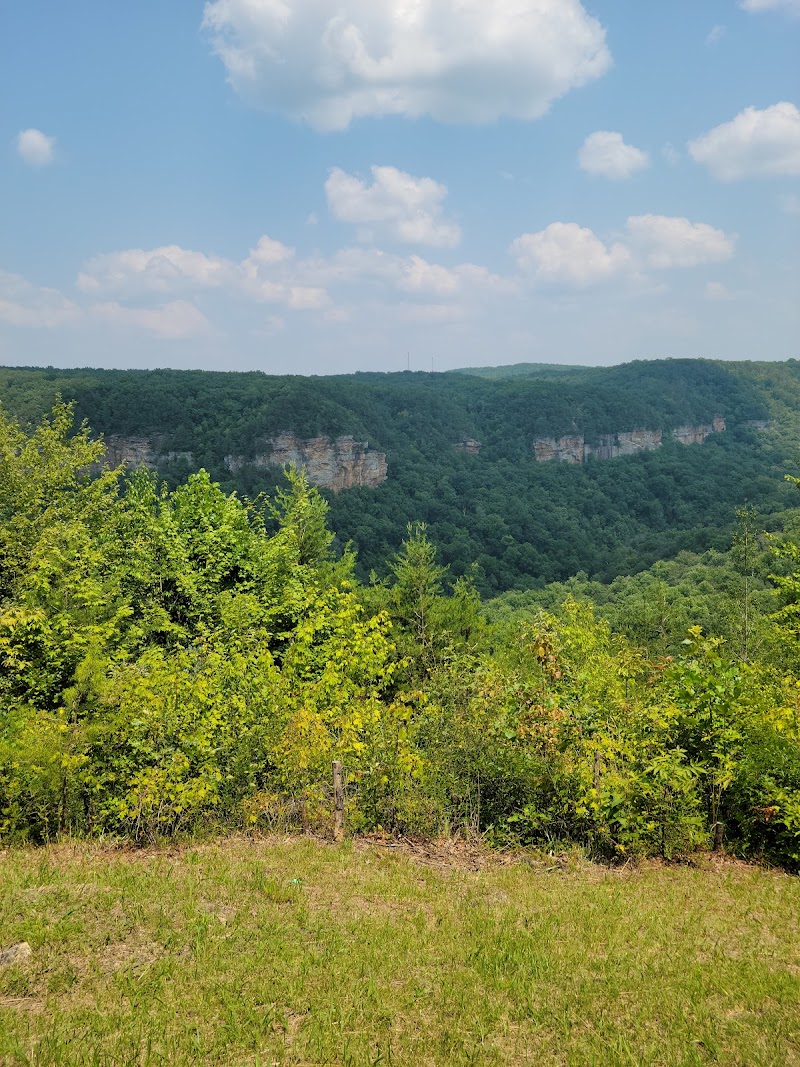 Conn Creek Falls