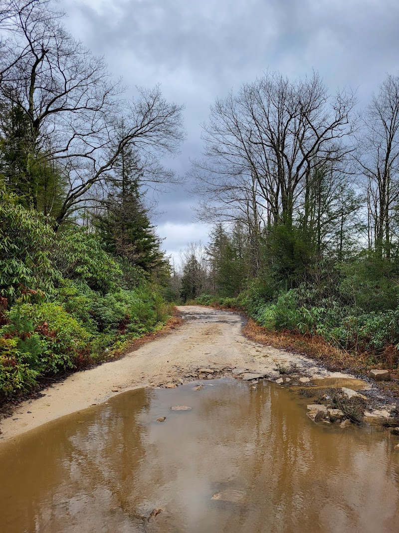 Gold Run Falls