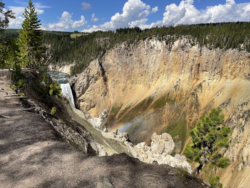 Lower Yellowstone Falls
