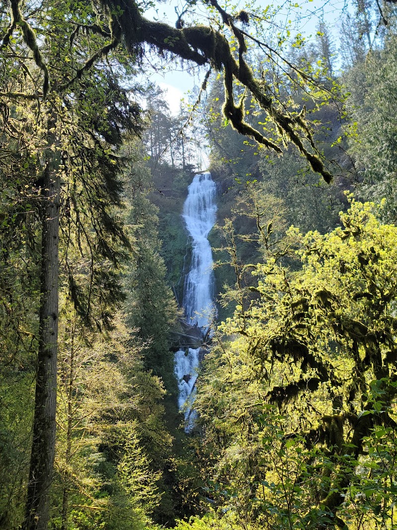 Munson Creek Falls