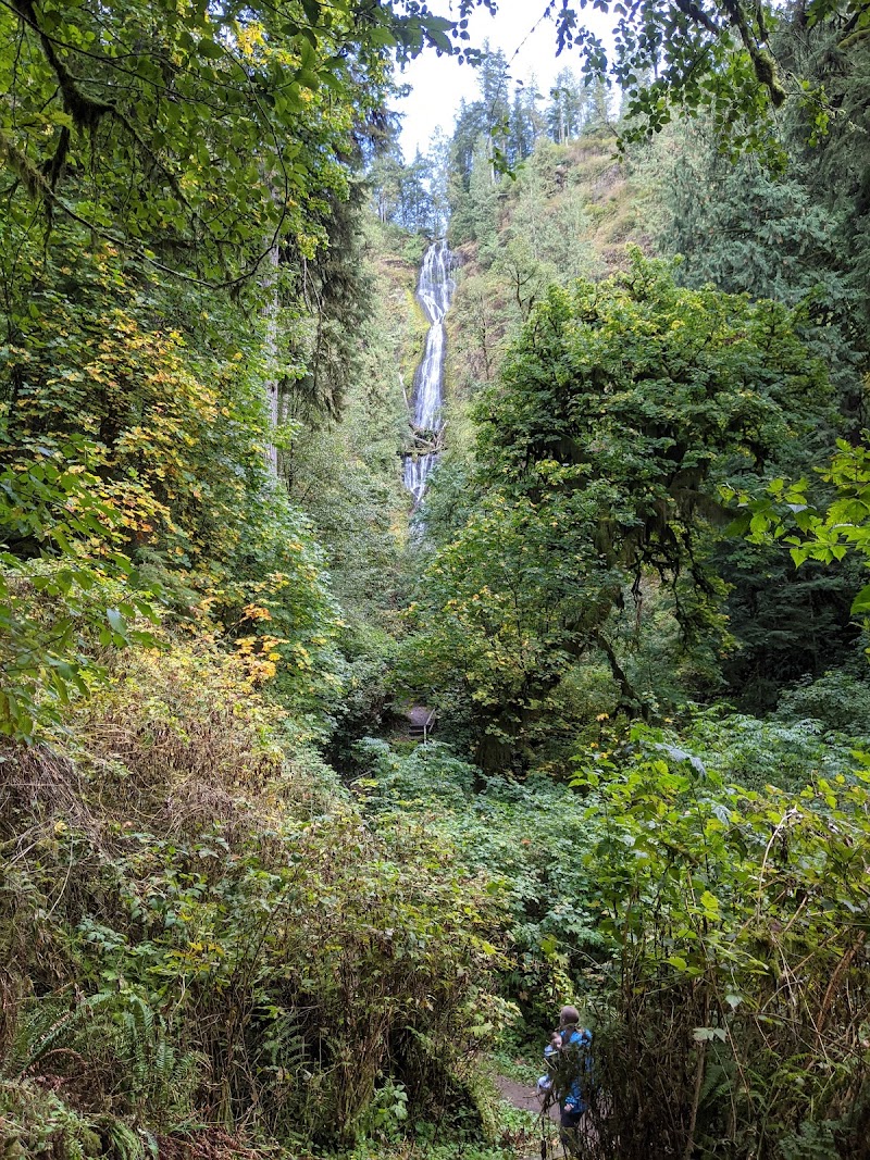 Munson Creek Falls