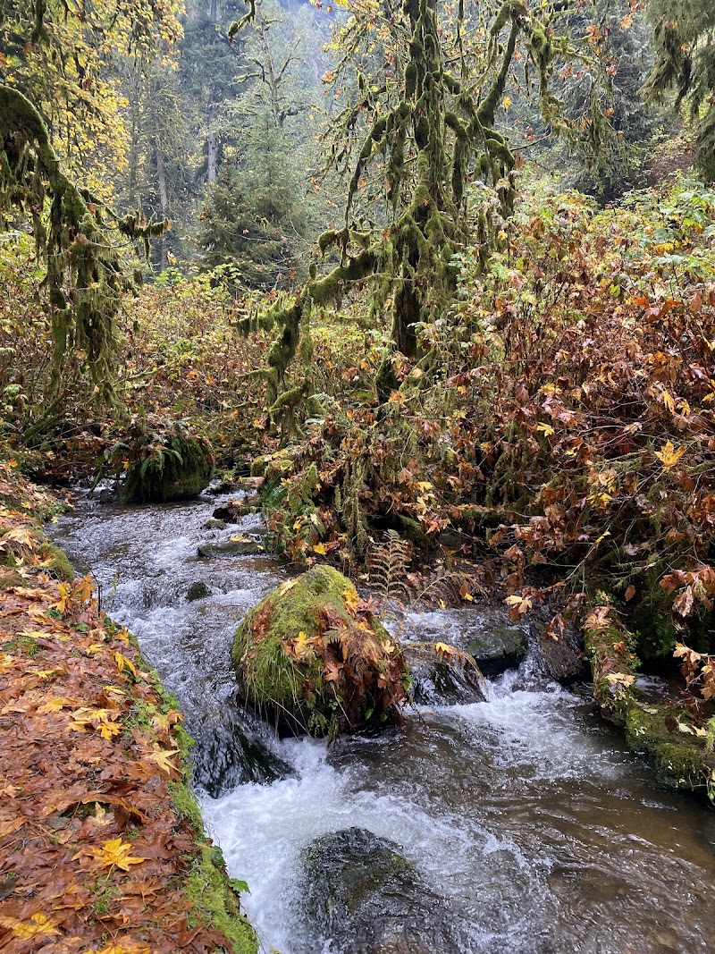 Munson Creek Falls
