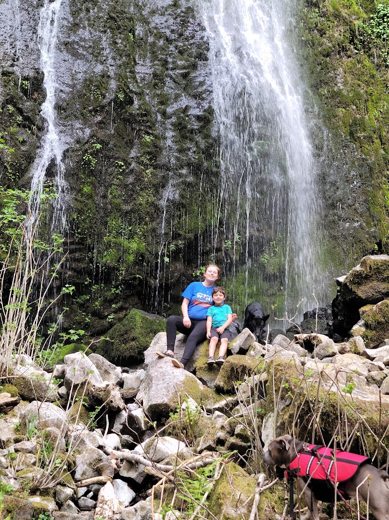 Pheasant Creek Falls
