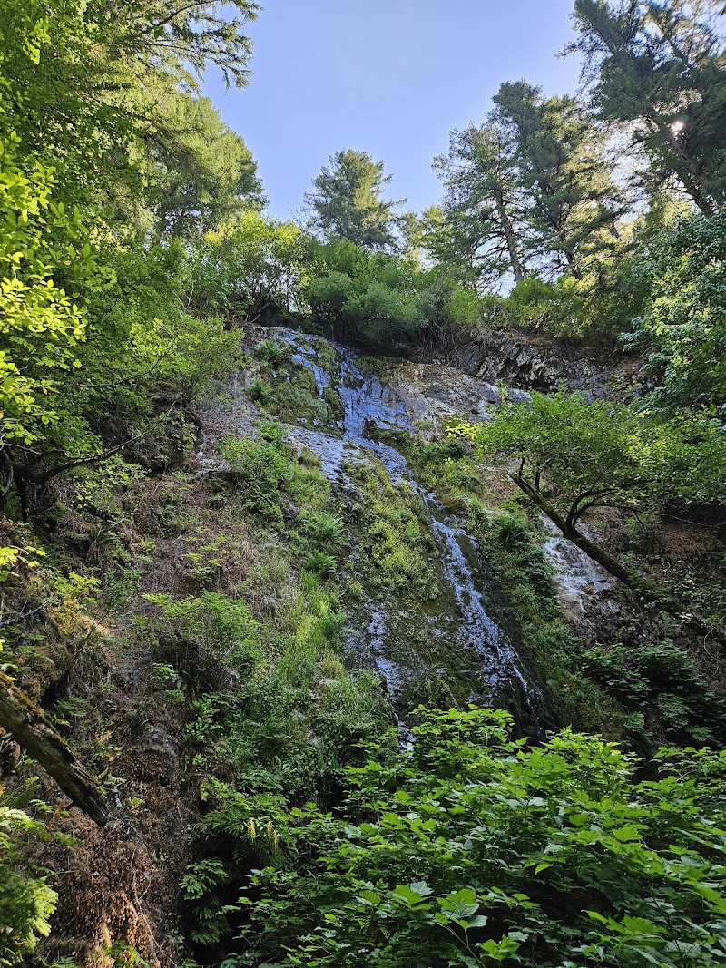 Pheasant Creek Falls