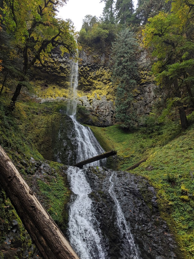 Pup Creek Falls