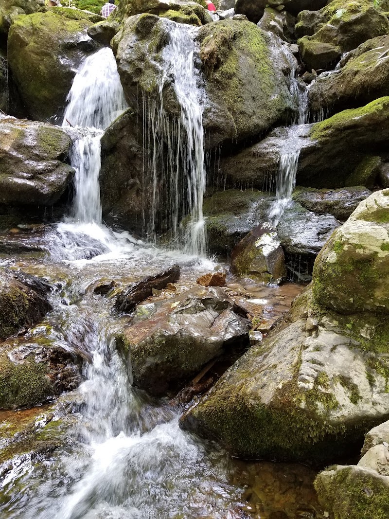 Rachor Falls