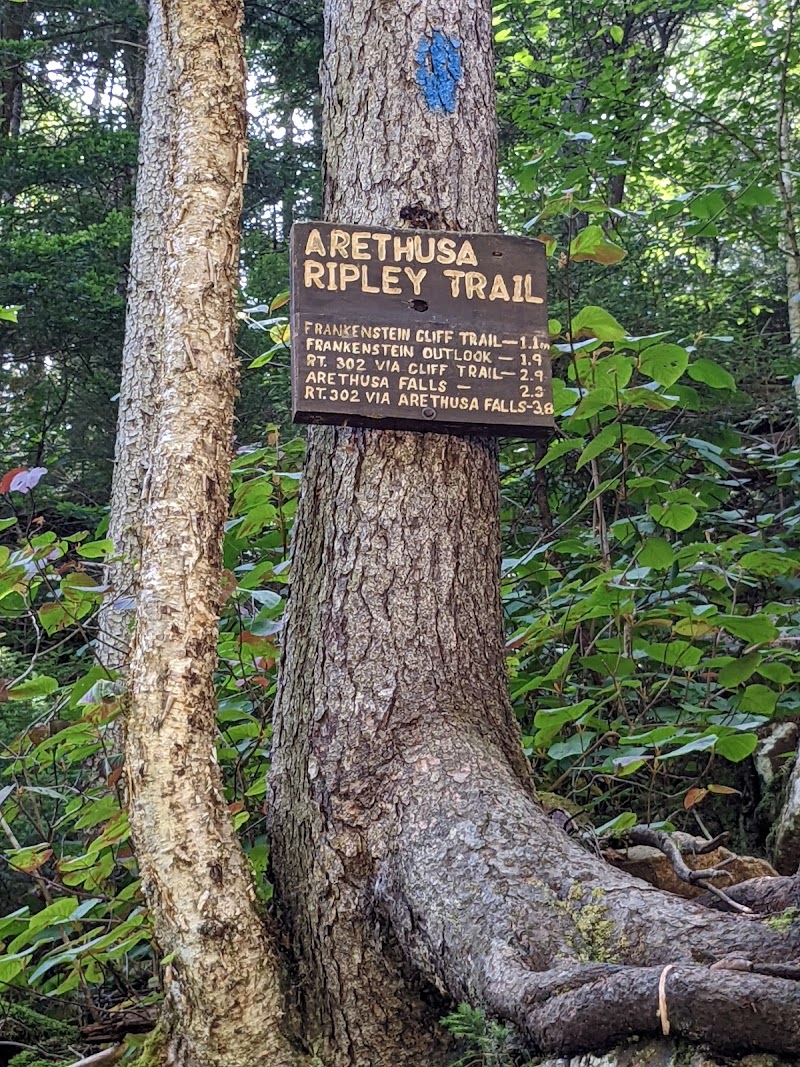 Ripley Falls