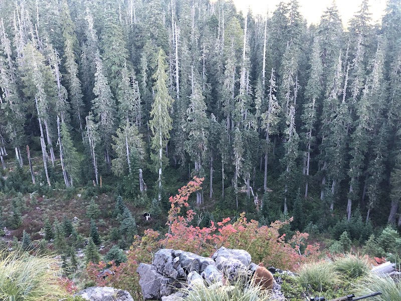 Snagtooth Falls