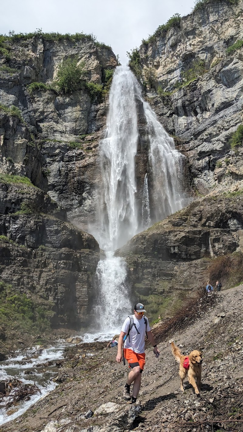 Stewarts Cascades