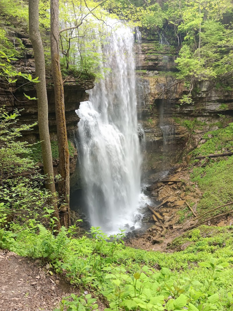Virgin Falls