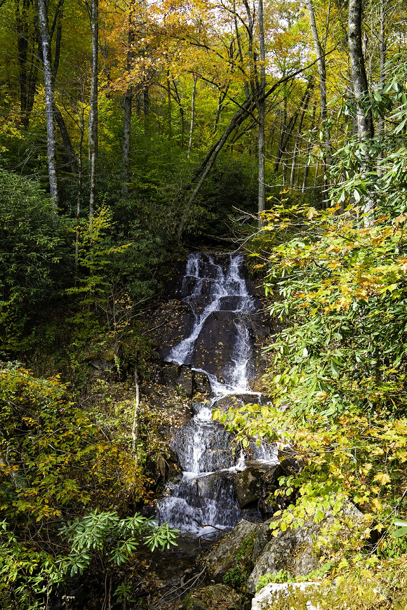 Woodfin Cascades